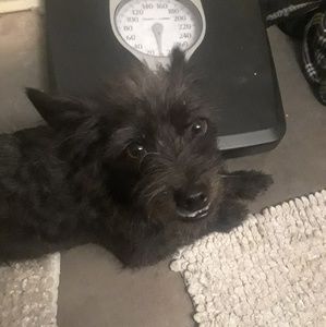 Meet your Posher, Garney